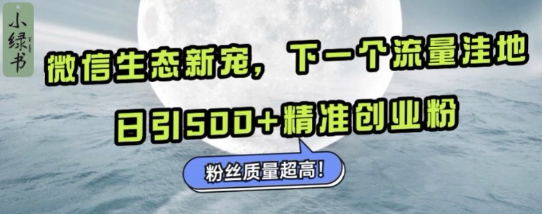 微信生态新宠小绿书：下一个流量洼地，日引500+精准创业粉，粉丝质量超高 - 搞薯条网-搞薯条网