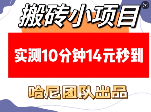 搬砖小项目，实测10分钟14元秒到，每天稳定几张(赠送必看稳定) - 搞薯条网-搞薯条网