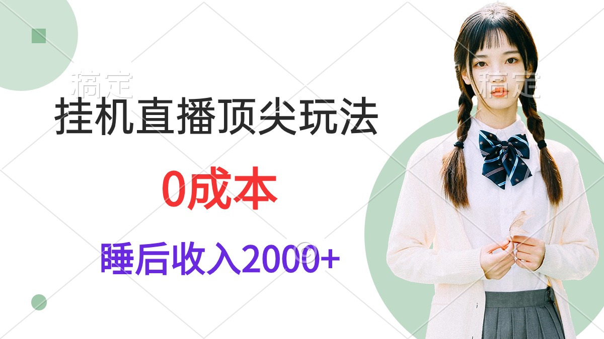 (9715期)挂机直播顶尖玩法，睡后日收入2000+、0成本，视频教学 - 搞薯条网-搞薯条网