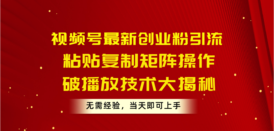 视频号最新创业粉引流，粘贴复制矩阵操作，破播放技术大揭秘，无需经验… - 搞薯条网-搞薯条网