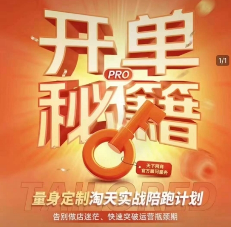 淘宝开单秘籍PRO，量身定制淘天实战陪跑计划，告别做店迷茫、快速突破运营瓶颈期 - 搞薯条网-搞薯条网