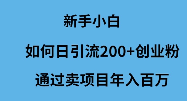 (9668期)新手小白如何日引流200+创业粉通过卖项目年入百万 - 搞薯条网-搞薯条网