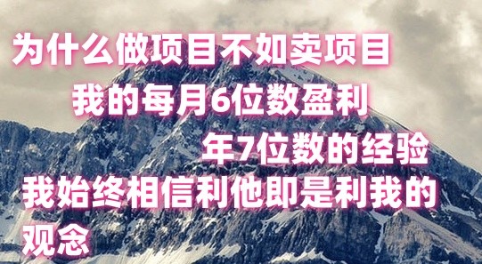 做项目不如卖项目，每月6位数盈利，年7位数经验 - 搞薯条网-搞薯条网