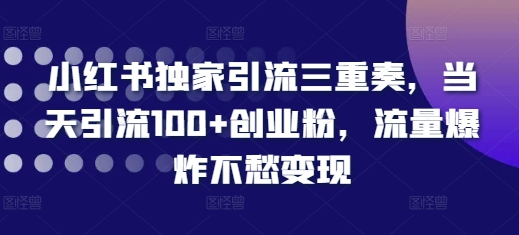 小红书独家引流三重奏，当天引流100+创业粉，流量爆炸不愁变现【揭秘】 - 搞薯条网-搞薯条网