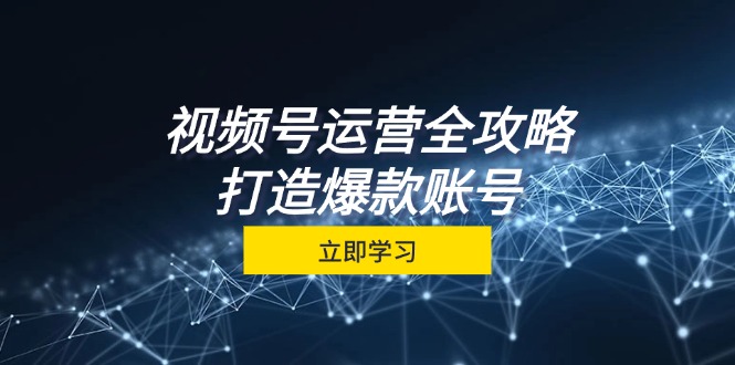 视频号运营全攻略，从定位到成交一站式学习，视频号核心秘诀，打造爆款… - 搞薯条网-搞薯条网