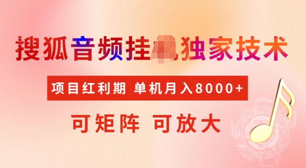 首发搜狐音频挂JI，项目红利期，可矩阵可放大，稳定月入5k【揭秘】 - 搞薯条网-搞薯条网