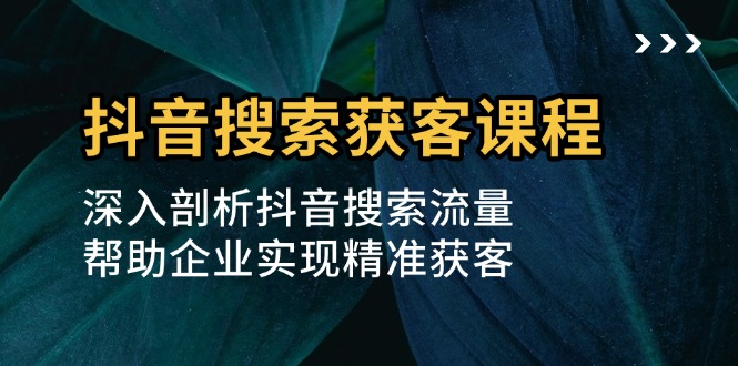 抖音搜索获客课程：深入剖析抖音搜索流量，帮助企业实现精准获客 - 搞薯条网-搞薯条网