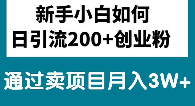 新手小白日引流200+创业粉,通过卖项目月入3W+ - 搞薯条网-搞薯条网