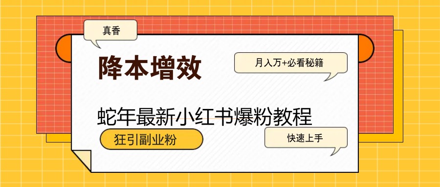 蛇年最新小红书爆粉教程，狂引副业粉，月入万+必看 - 搞薯条网-搞薯条网