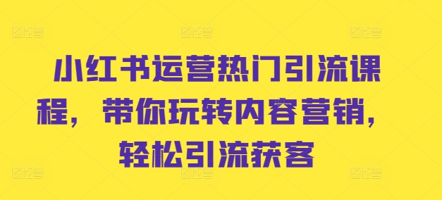 小红书运营热门引流课程，带你玩转内容营销，轻松引流获客 - 搞薯条网-搞薯条网