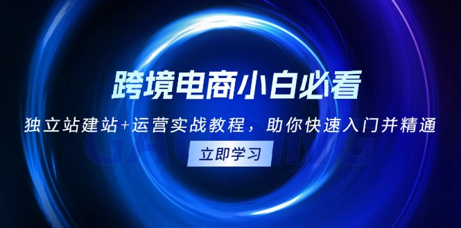 跨境电商小白必看！独立站建站+运营实战教程，助你快速入门并精通 - 搞薯条网-搞薯条网