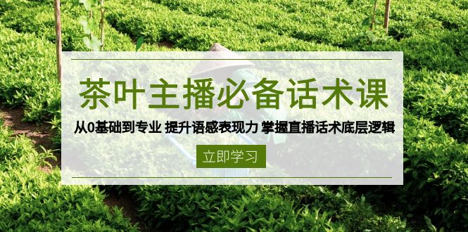 茶叶 主播必备话术课 从0基础到专业 提升语感表现力 掌握直播话术底层逻辑 - 搞薯条网-搞薯条网