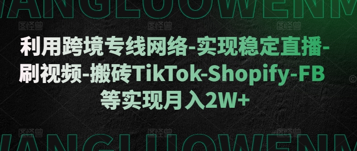 利用跨境专线网络-实现稳定直播-刷视频-搬砖TikTok-Shopify-FB等实现月入2W+【揭秘】 - 搞薯条网-搞薯条网