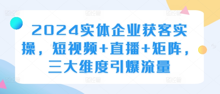 2024实体企业获客实操，短视频+直播+矩阵，三大维度引爆流量 - 搞薯条网-搞薯条网