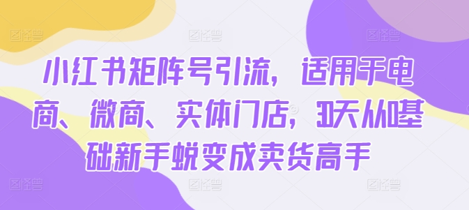 小红书矩阵号引流，适用于电商、微商、实体门店，30天从0基础新手蜕变成卖货高手 - 搞薯条网-搞薯条网