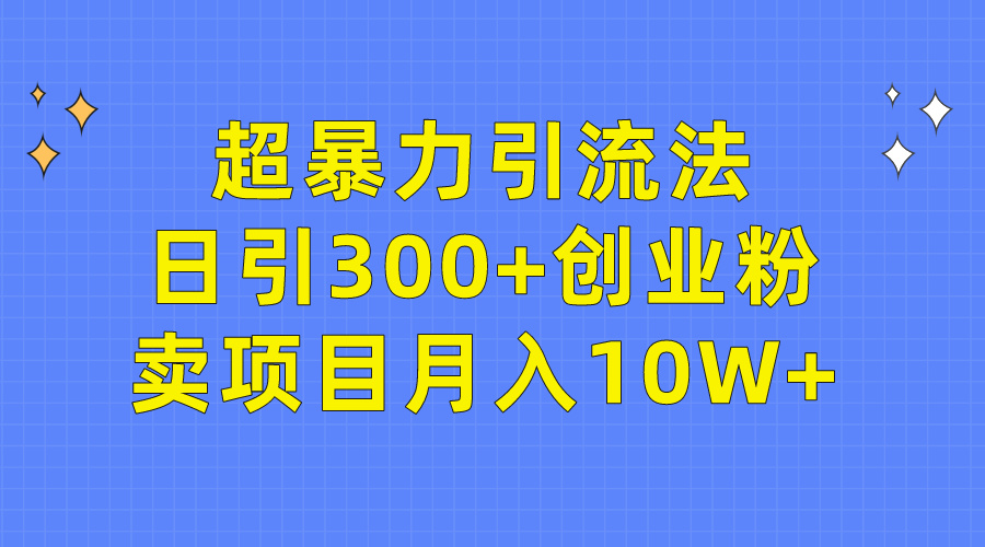 (9954期)超暴力引流法，日引300+创业粉，卖项目月入10W+ - 搞薯条网-搞薯条网