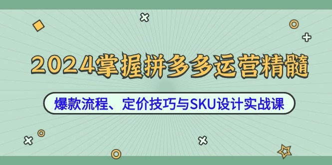 2024掌握拼多多运营精髓：爆款流程、定价技巧与SKU设计实战课 - 搞薯条网-搞薯条网