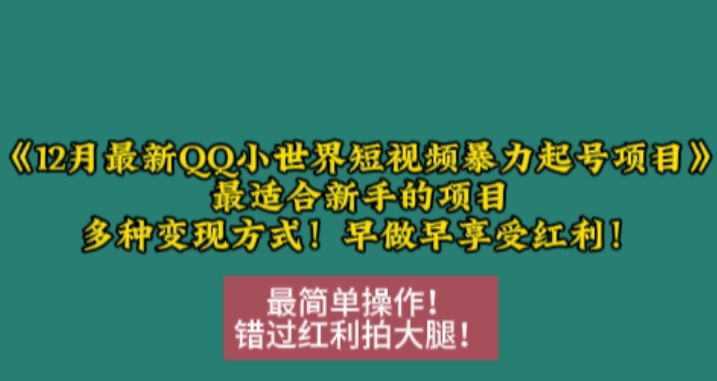 12月最新QQ小世界短视频暴力起号项目，最适合新手的项目，多种变现方式 - 搞薯条网-搞薯条网