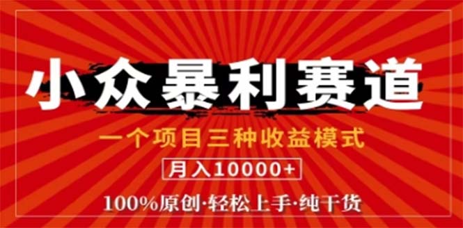 视频号最新爆火赛道，三种可收益模式，0粉新号条条原创条条热门 日入1000+ - 搞薯条网-搞薯条网