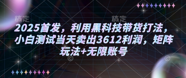 2025首发，利用黑科技带货打法，小白测试当天卖出3612利润，矩阵玩法+无限账号【揭秘】 - 搞薯条网-搞薯条网