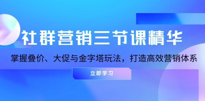 社群营销三节课精华：掌握叠价、大促与金字塔玩法，打造高效营销体系 - 搞薯条网-搞薯条网