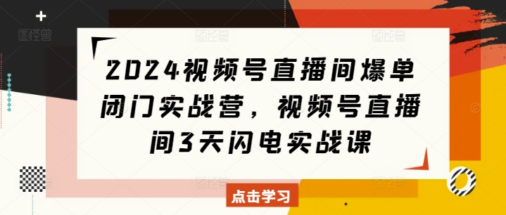 2024视频号直播间爆单闭门实战营，视频号直播间3天闪电实战课 - 搞薯条网-搞薯条网